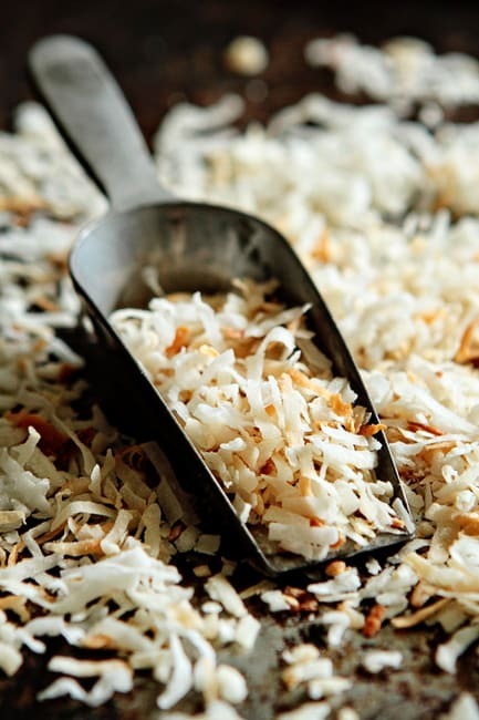 Toasted Coconut - Fragrance Oil