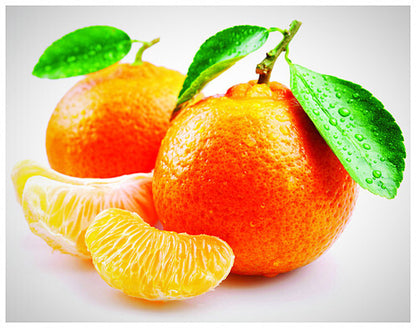 Tropical Tangerine - Fragrance Oil