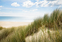 Seagrass & Wild Lavender - Fragrance Oil