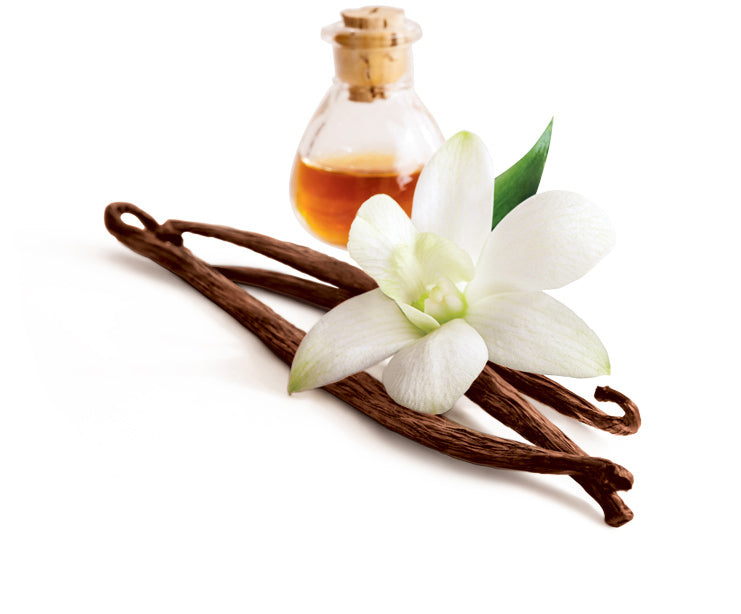Vanilla - Fragrance Oil