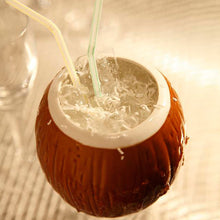 Coconut Colada - Fragrance Oil