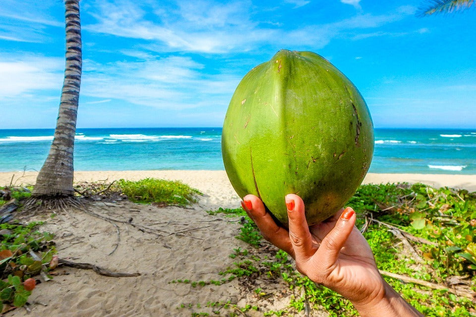 Coco Beach - Fragrance Oil