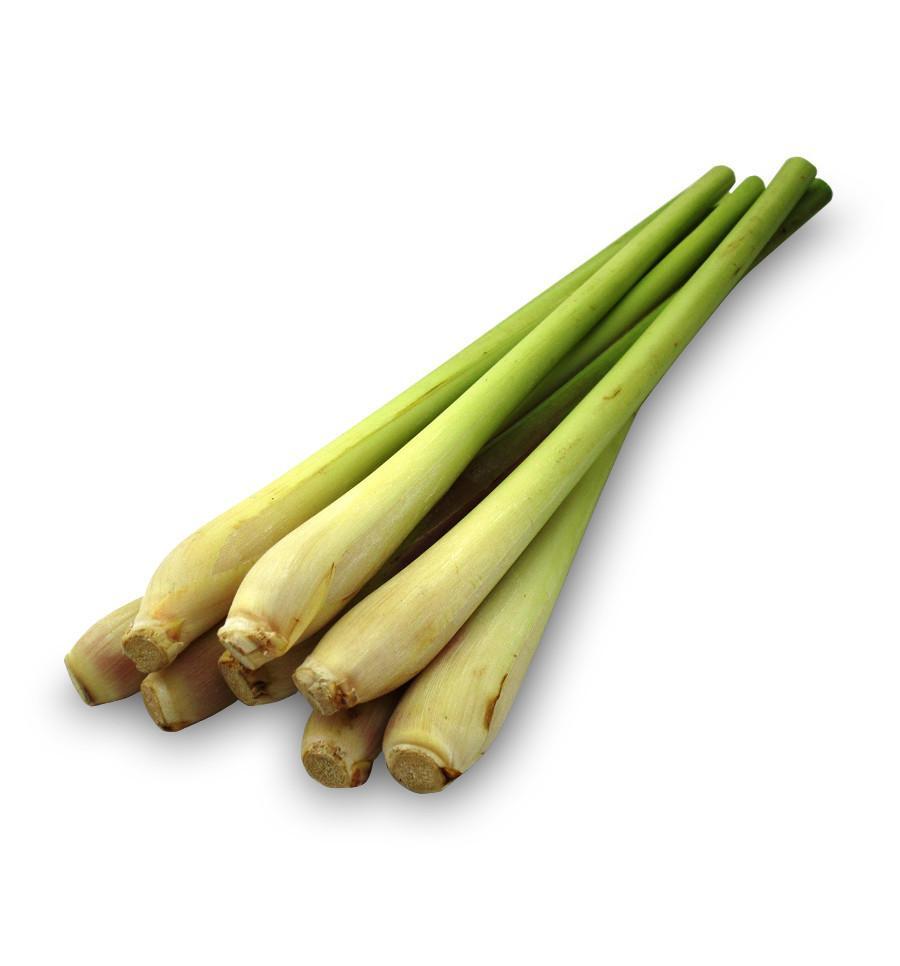 Wild Lemongrass - Fragrance Oil