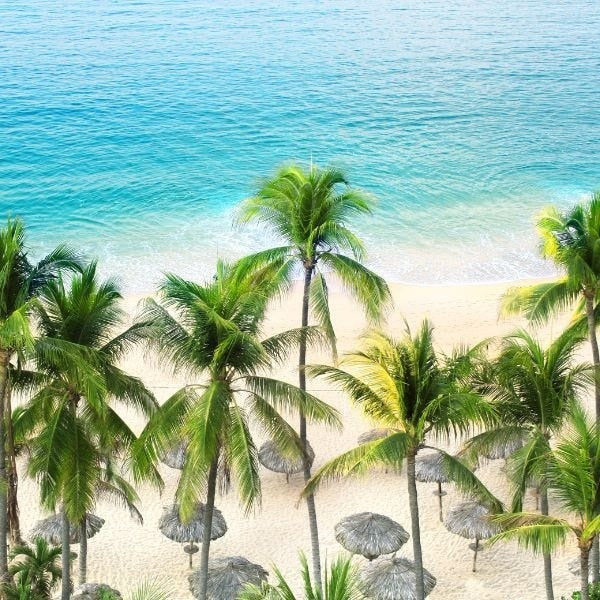 Acapulco - Fragrance Oil