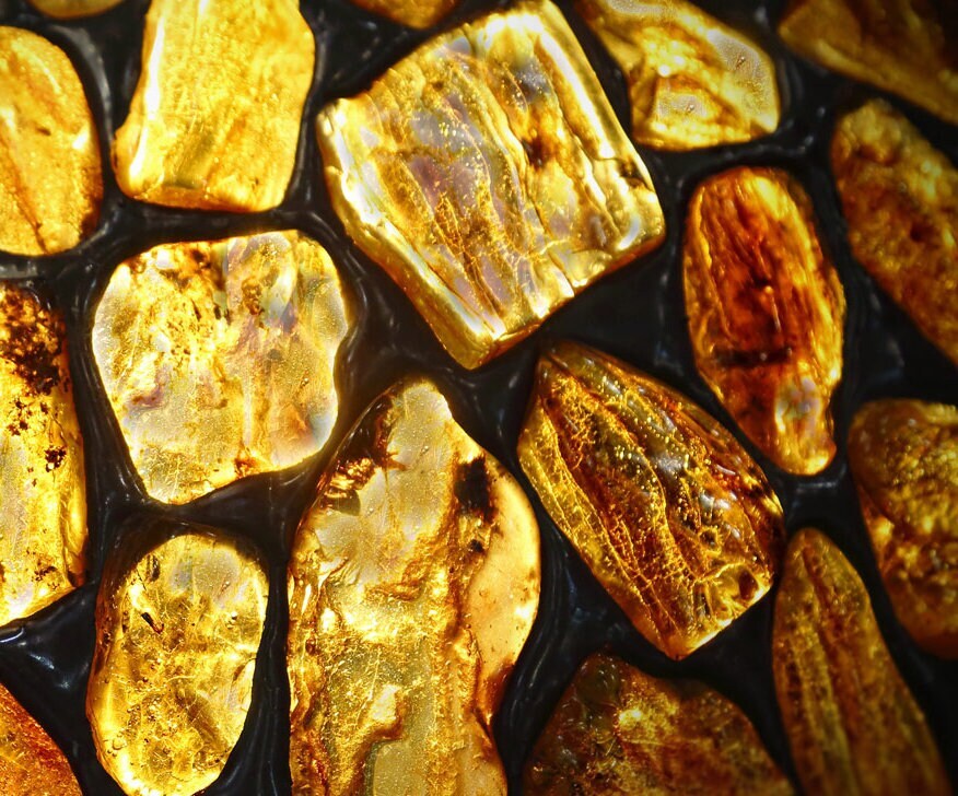 Warm Amber & Cedar - Fragrance Oil