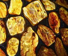 Warm Amber & Cedar - Fragrance Oil