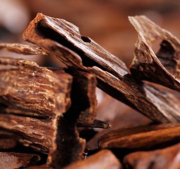 Ancient Sandalwood - Fragrance Oil