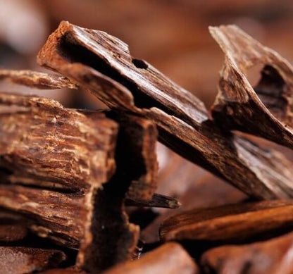 Ancient Sandalwood - Fragrance Oil