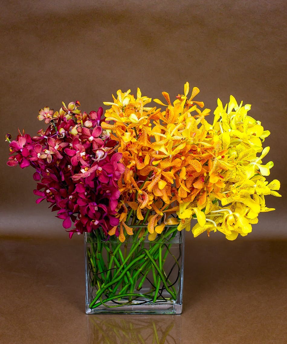 Autumn Orchid - Fragrance Oil