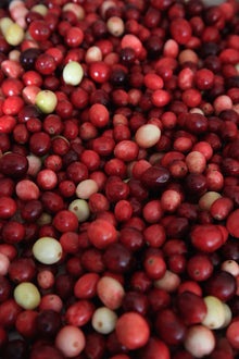 Cranberries & White Musk - Fragrance Oil