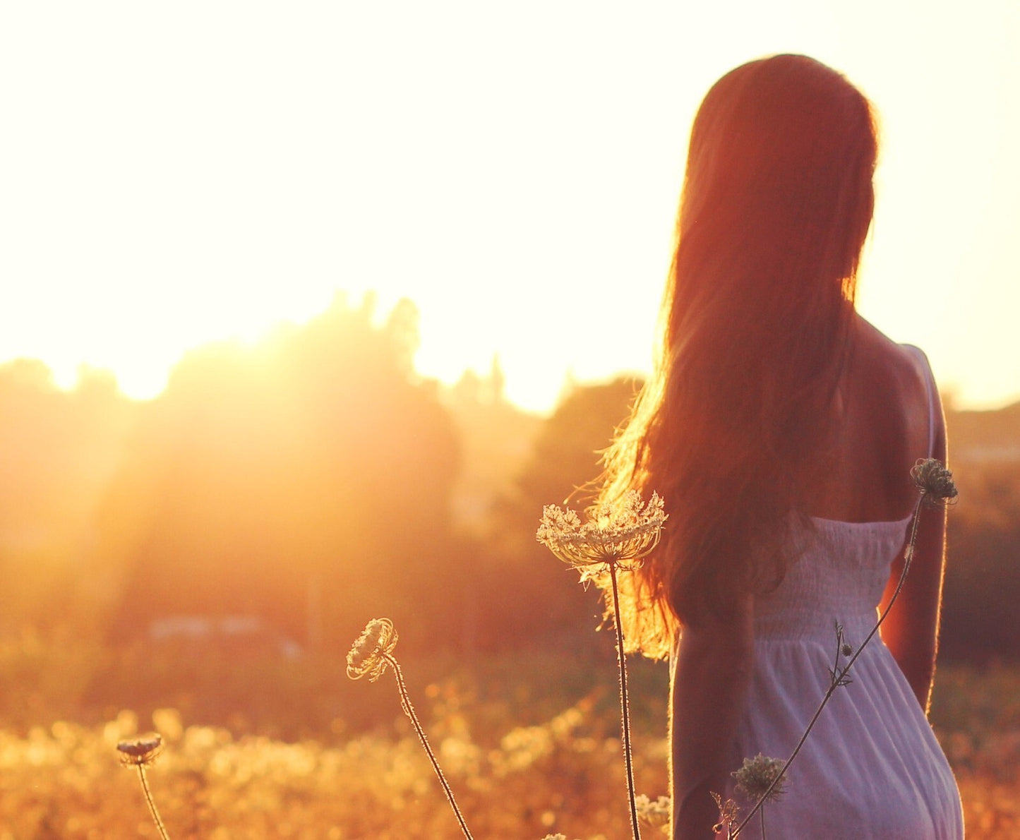 Fifty Shades of Summer - Fragrance Oil