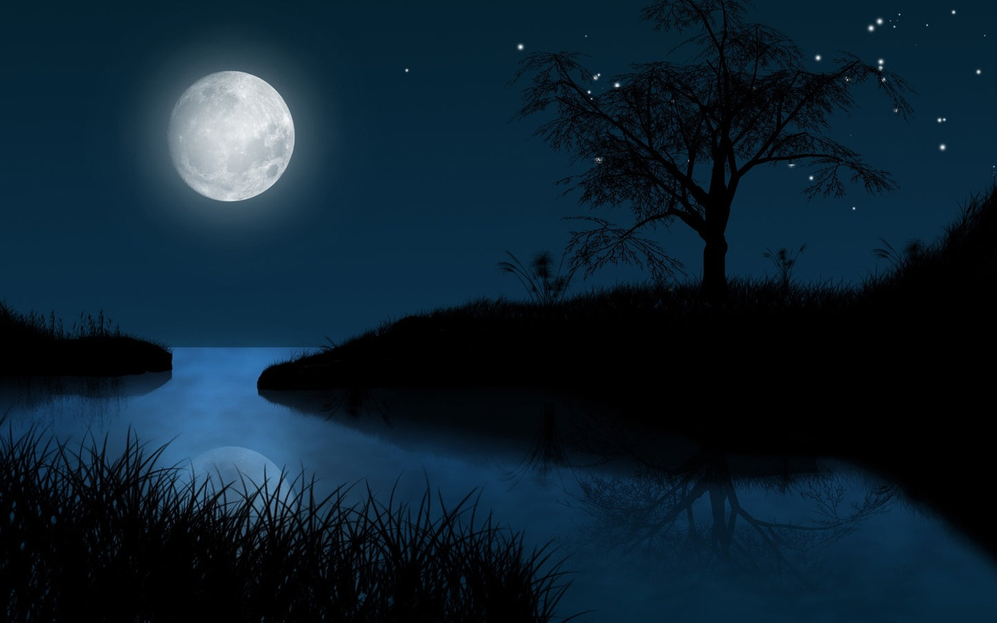 Moonlit Night - Fragrance Oil