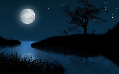 Moonlit Night - Fragrance Oil