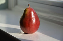 Pepperberry Pear - Fragrance Oil