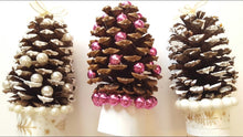 Pinecones & Pearls - Fragrance Oil