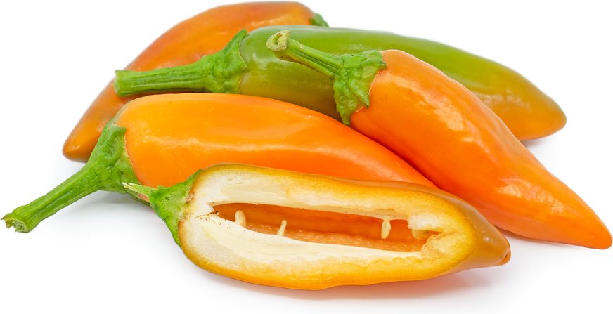 Pink Pepper Tangerine - Fragrance Oil