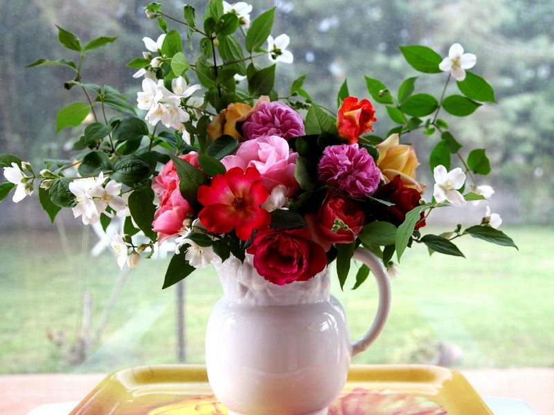 Pink Rose & Jasmine - Fragrance Oil