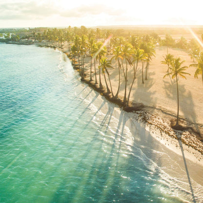 Island Paradise - Odor Eliminating Soy Wax Melts