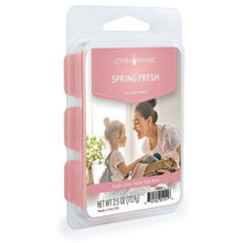 Spring Fresh - Soy Wax Melts