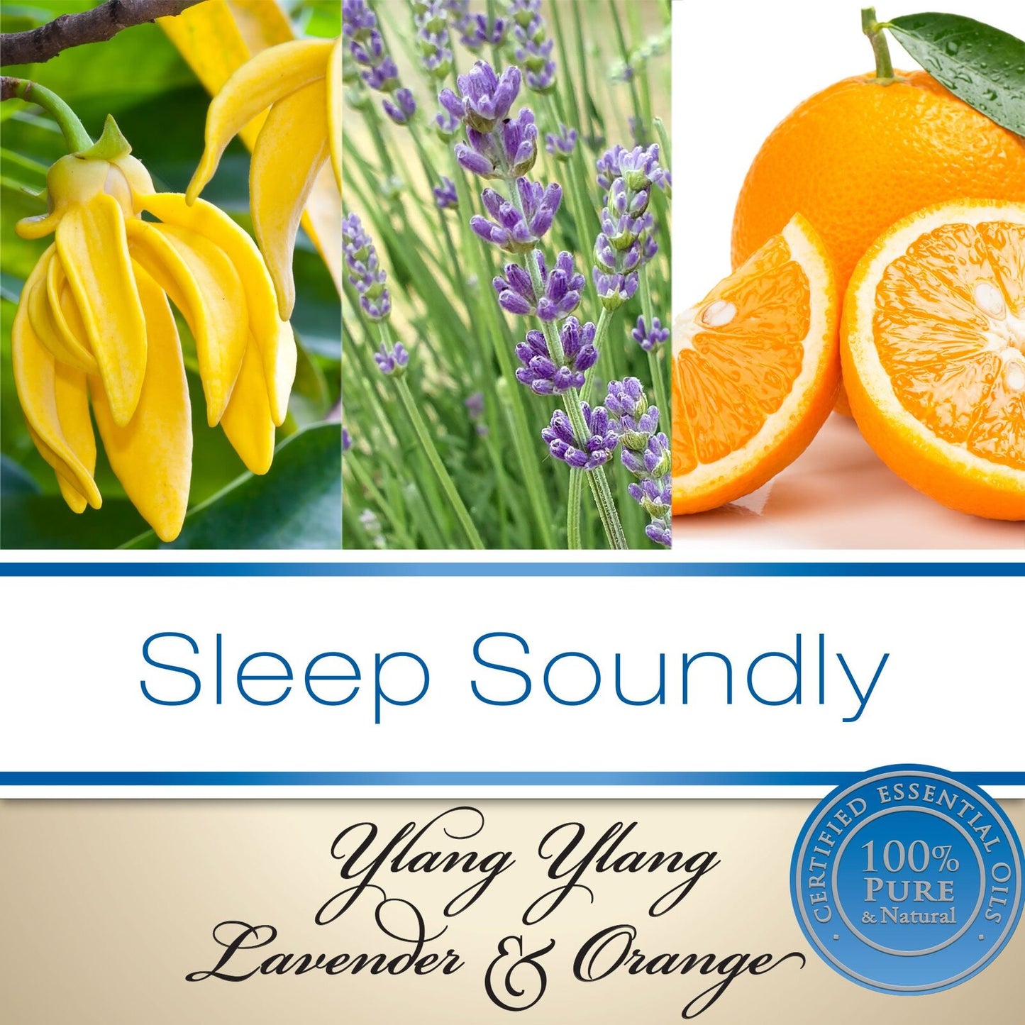 Sleep Soundly - Room & Linen Spray