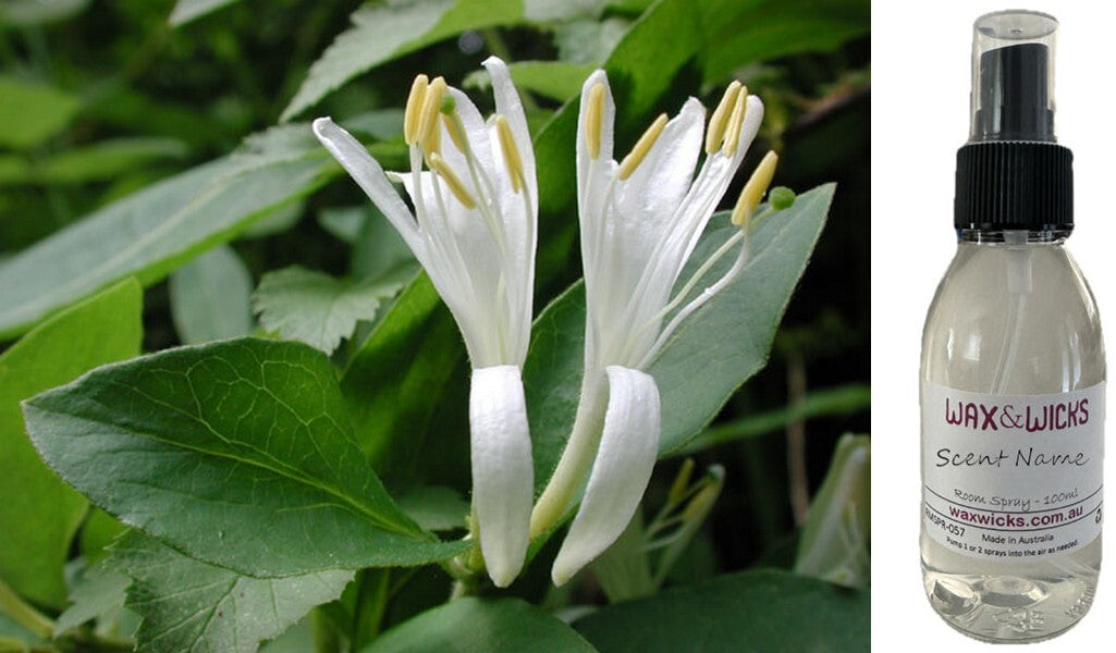 Japanese Honeysuckle - Room Spray