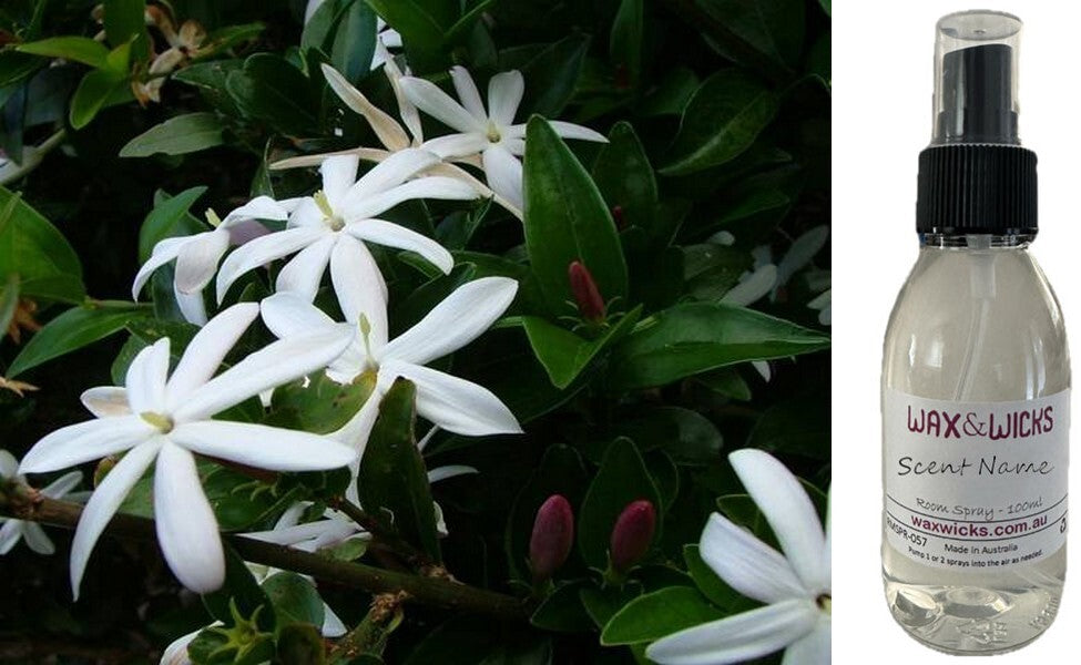 Wild Jasmine - Room Spray