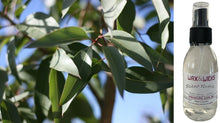 Eucalyptus Citriodora - Room Spray
