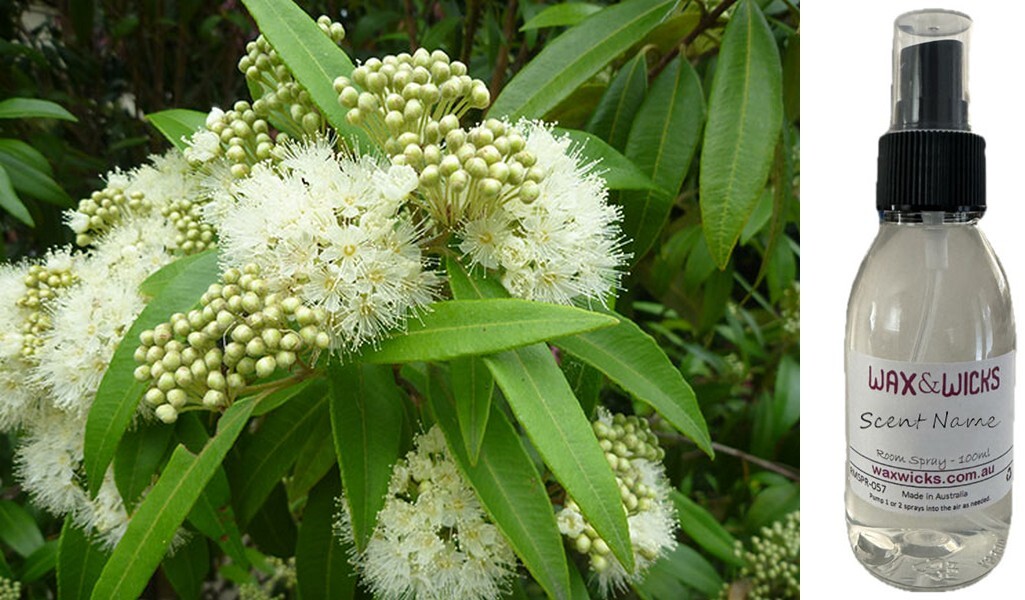 Lemon Scented Myrtle - Room Spray