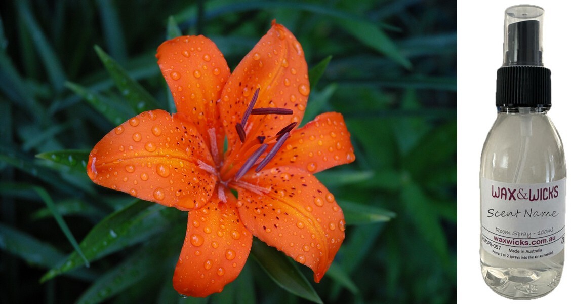 Tiger Lily & Patchouli - Room Spray